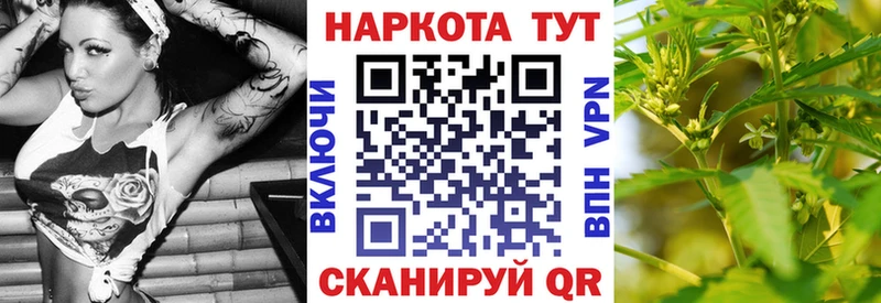 Где купить наркотики Белёв COCAIN  АМФ  Гашиш  Codein  МЕФ  Каннабис  Псилоцибиновые грибы 