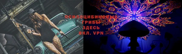 стаф Армянск
