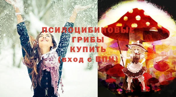 стаф Армянск