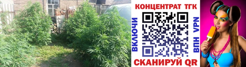 ТГК концентрат  наркотики  Белёв 