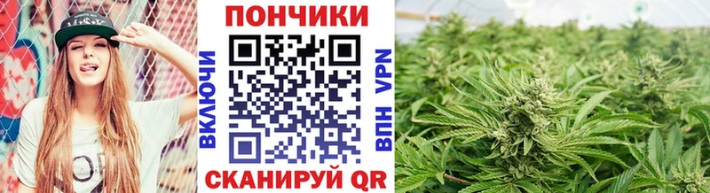 Канабис MAZAR Белёв